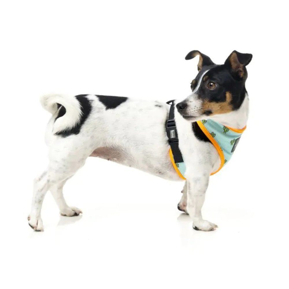 NWOT FuzzYard Dog Harness Cactus Theme with Secure D-ring | Lightweight XL - Picture 10 of 12